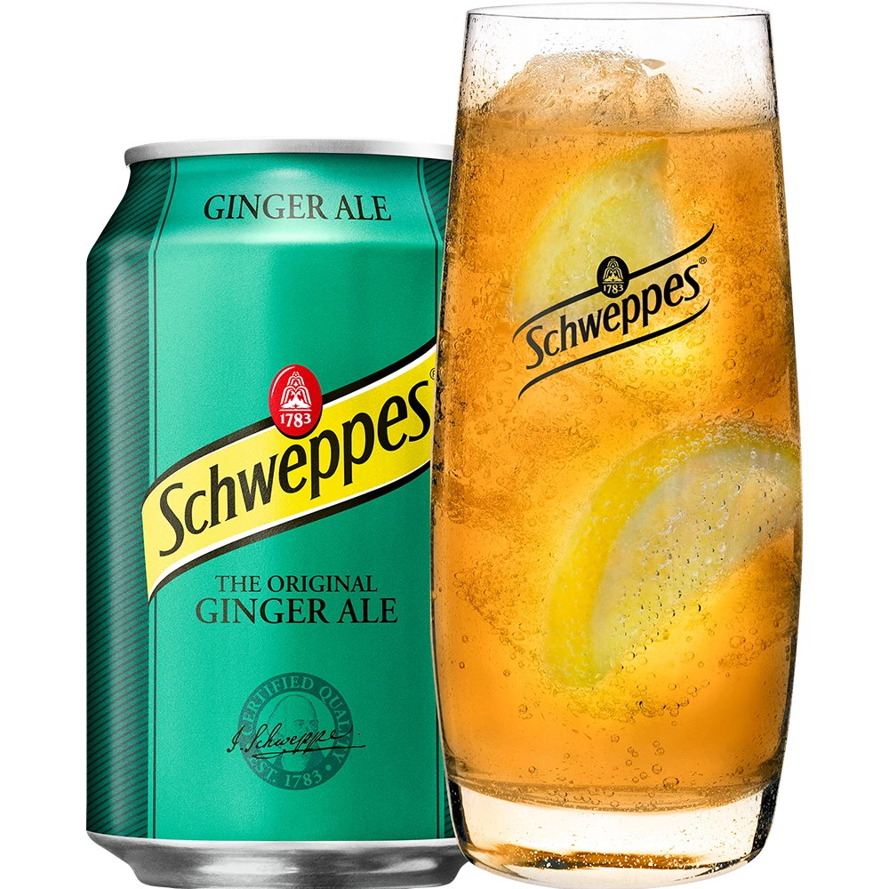 Schweppes Ginger Ale 12x0,33 DS. zzgl. DPG Pfand